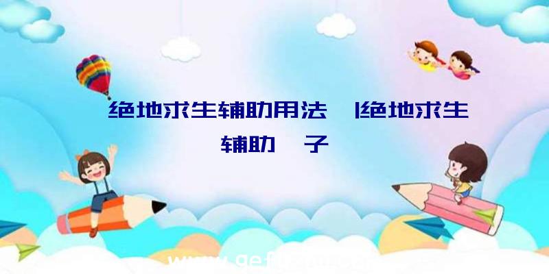 「绝地求生辅助用法」|绝地求生辅助柚子